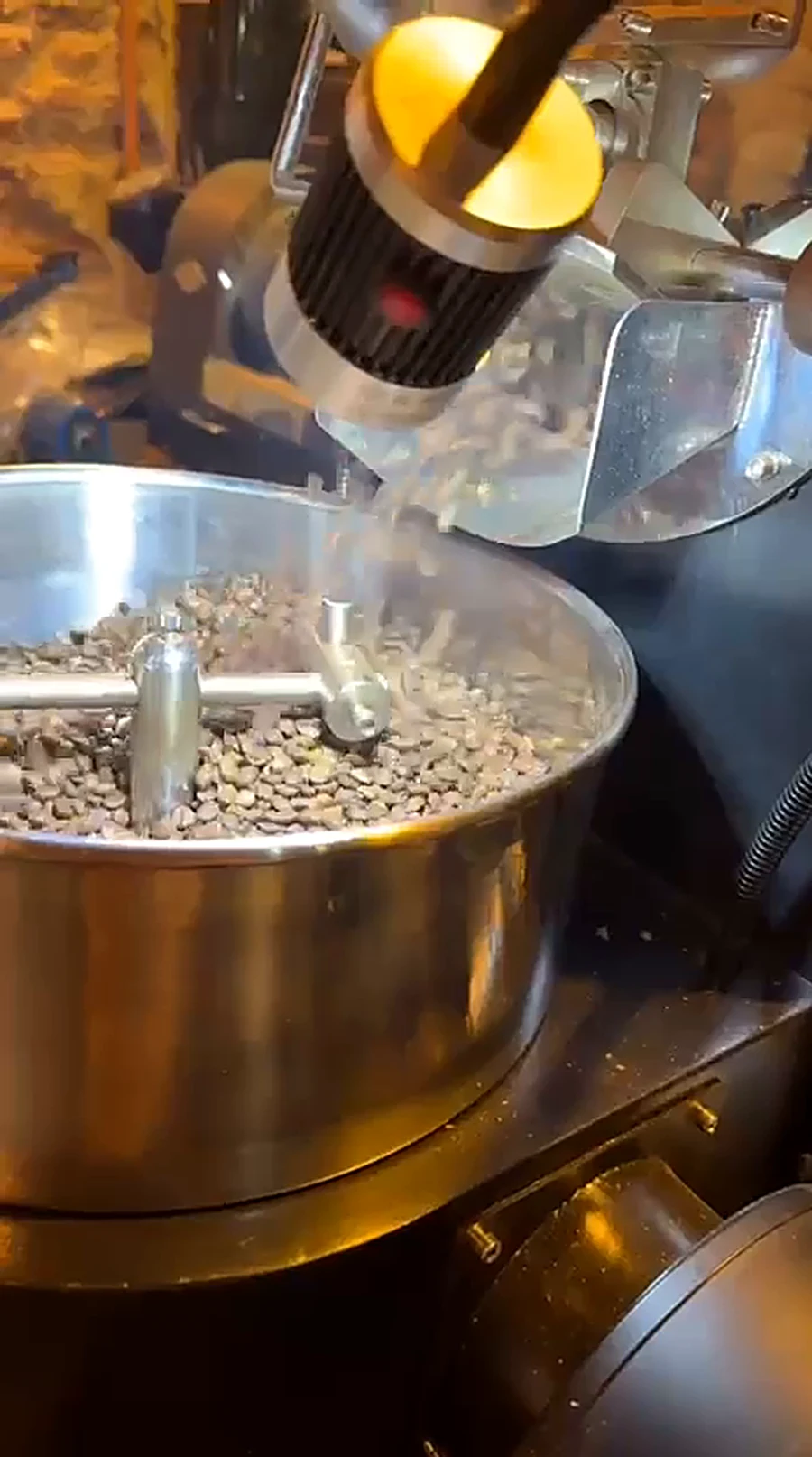 Café verde girando en el tambor de la tostadora